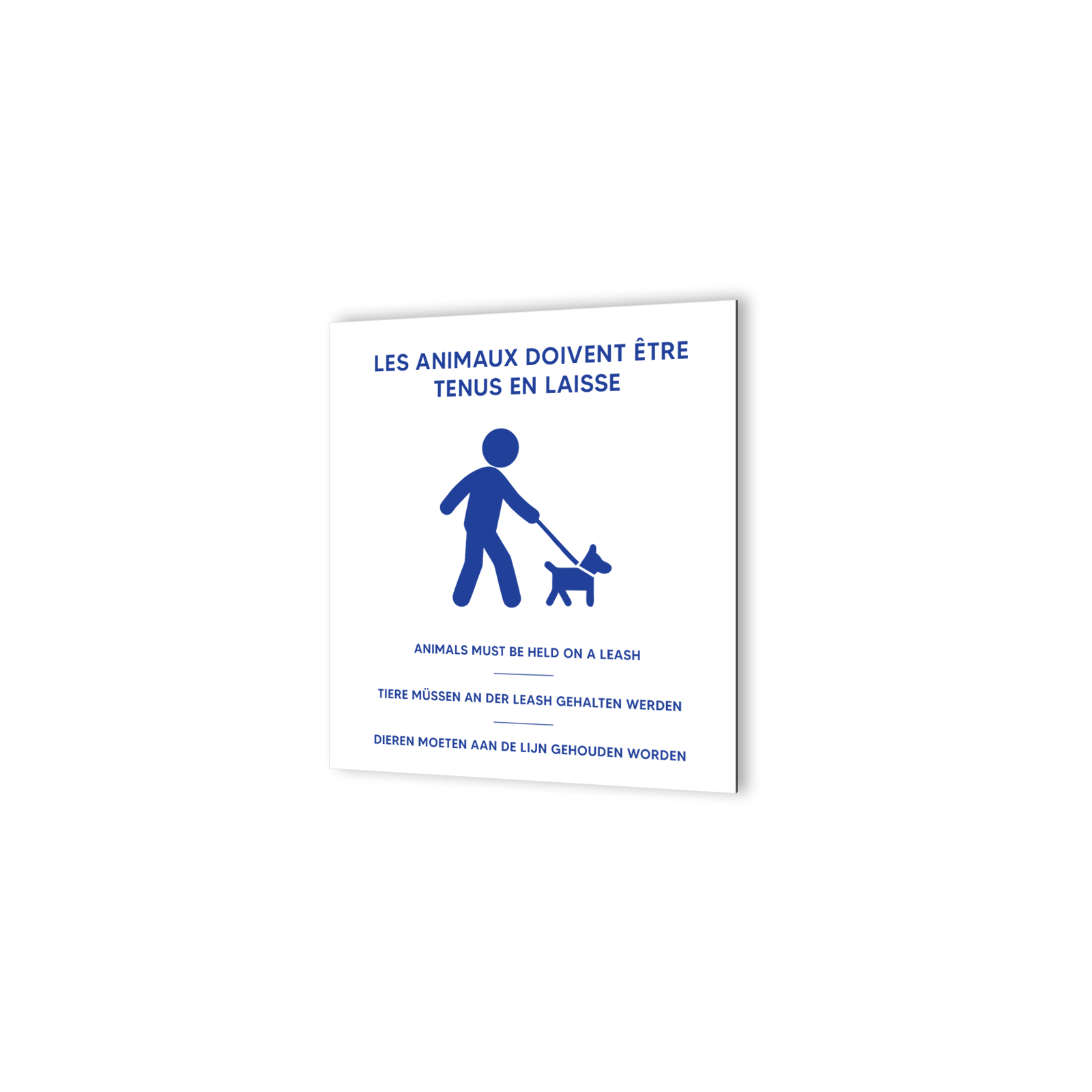 Pictogramme panneau signalétique format 20 cm x 20 cm en Dibond Blanc Picto Bleu - Modèle Animaux en laisse