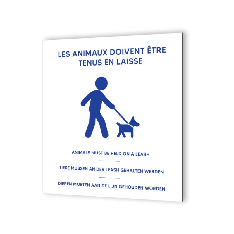 Pictogramme panneau signalétique format 20 cm x 20 cm en Dibond Blanc Picto Bleu - Modèle Animaux en laisse