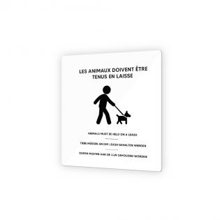 Pictogramme panneau signalétique format 9 x 9 cm en Plexi Picto Noir - Modèle Animaux en laisse