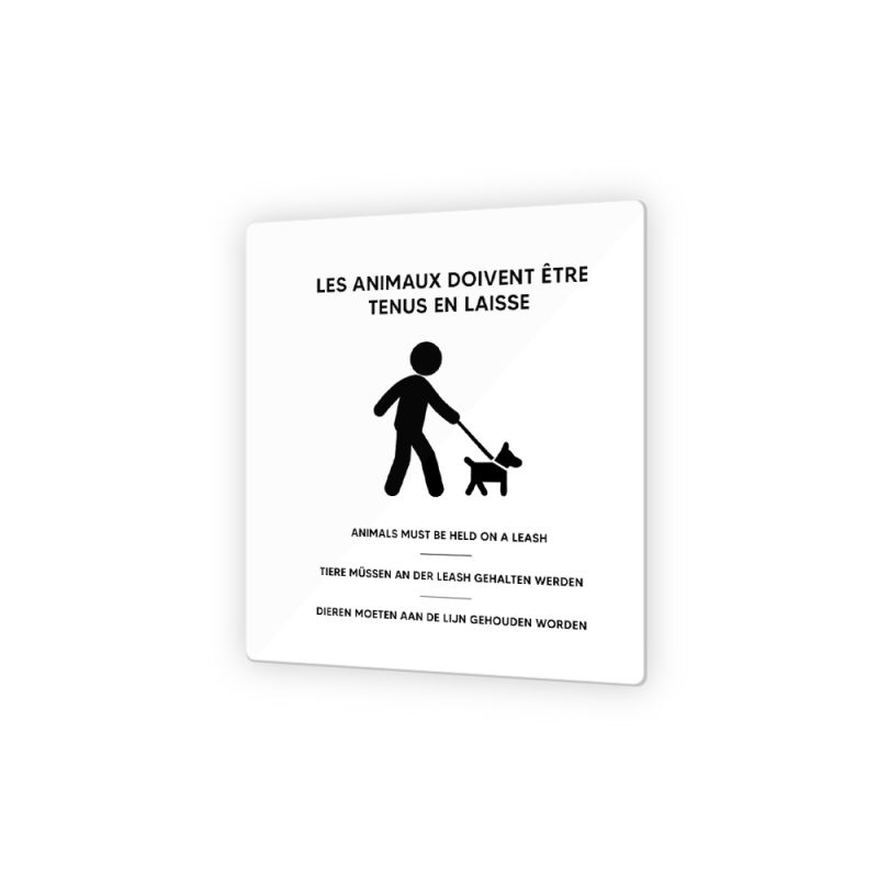 Pictogramme panneau signalétique format 9 x 9 cm en Plexi Picto Noir - Modèle Animaux en laisse