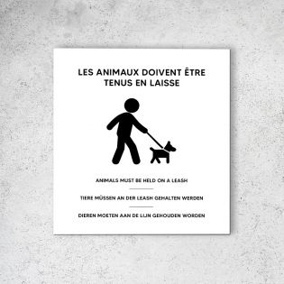 Pictogramme panneau signalétique format 20 cm x 20 cm en Dibond Blanc Picto Noir - Modèle Animaux en laisse