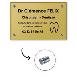 Plaque professionnelle personnalisée en plexi avec logo pour dentiste- Argent Lettres Noires - Format 30 cm x 20 cm