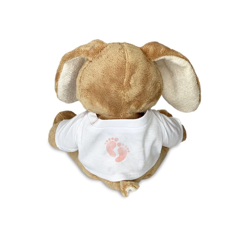 Peluche animal avec t-shirt personnalisable Prénom et Photo · Cadeau  naissance bébé · Lapin