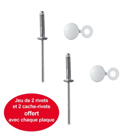 Plaque immatriculation voiture homologuée (Lot de 2) - plastique SIV 520 x 110 mm - Rivet plaque immatriculation inclus