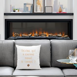 Coussin décorative personnalisée humoristique "Devine qui a encore mangé le canapé" 40 x 40 cm · Idée cadeau maître ch