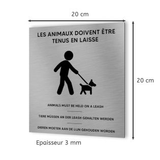 Pictogramme format 20 cm x 20 cm en Dibond Aluminium brossé - Modèle Chien en laisse multilingue