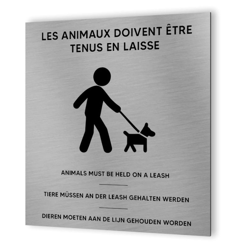 Pictogramme format 20 cm x 20 cm en Dibond Aluminium brossé - Modèle Chien en laisse multilingue Pictogramme format 20 cm x 20 cm en Dibond Aluminium brossé - Modèle Chien en laisse multilingue