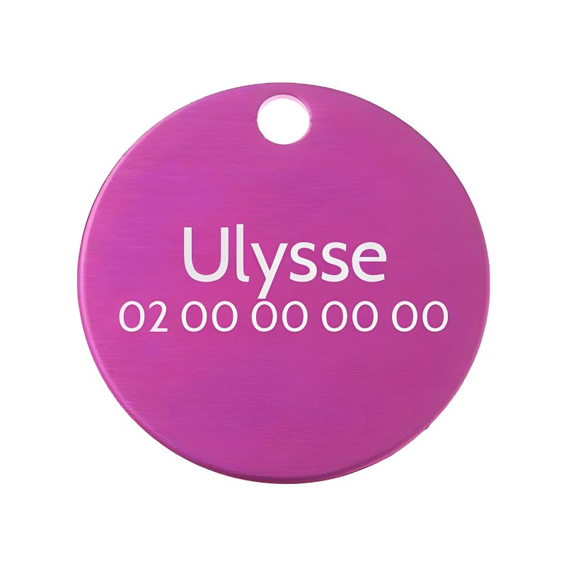 Petite médaille ronde Rose pour chien et chat à personnaliser sur 1 à 2 lignes - Diamètre 25 mm Petite médaille ronde Rose pour chien et chat à personnaliser sur 1 à 2 lignes - Diamètre 25 mm
