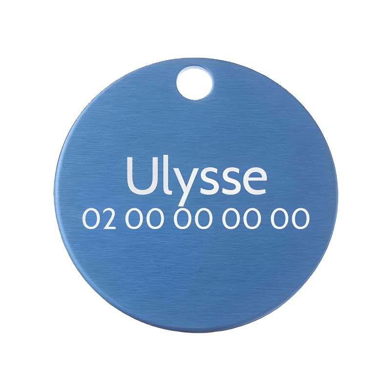 Petite médaille ronde Bleue pour chien et chat à personnaliser sur 1 à 2 lignes - Diamètre 25 mm Petite médaille ronde Bleue pour chien et chat à personnaliser sur 1 à 2 lignes - Diamètre 25 mm