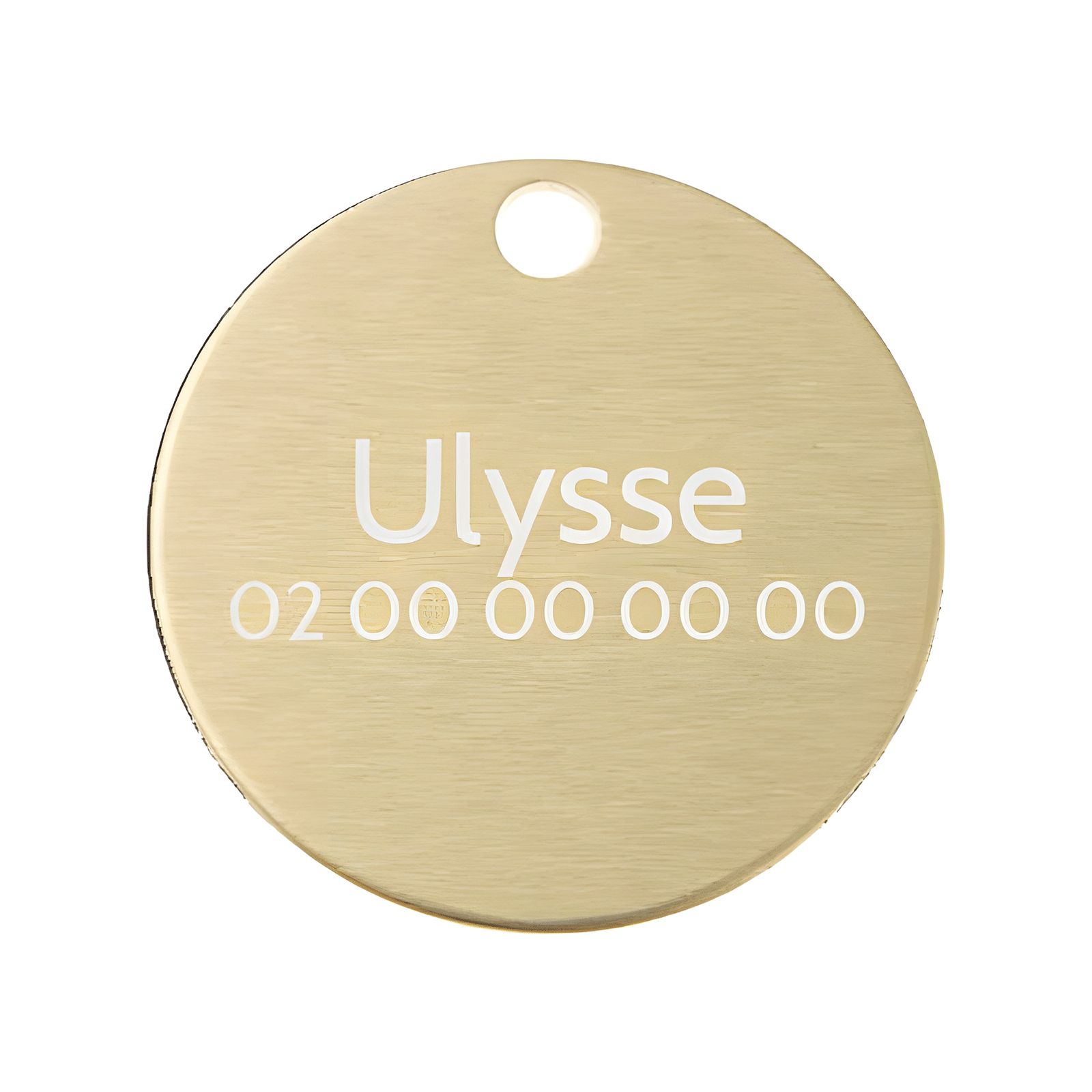 Petite médaille ronde Or pour chien et chat à personnaliser sur 1 à 2 lignes - Diamètre 25 mm