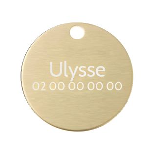 Petite médaille ronde Or pour chien et chat à personnaliser sur 1 à 2 lignes - Diamètre 25 mm
