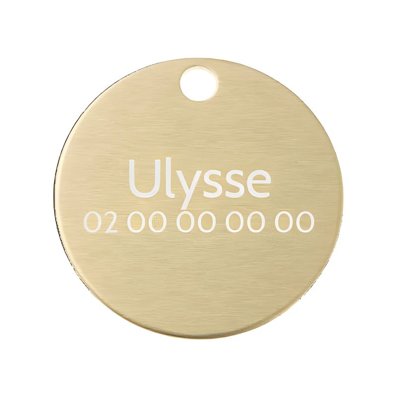 Petite médaille ronde Or pour chien et chat à personnaliser sur 1 à 2 lignes - Diamètre 25 mm Petite médaille ronde Or pour chien et chat à personnaliser sur 1 à 2 lignes - Diamètre 25 mm