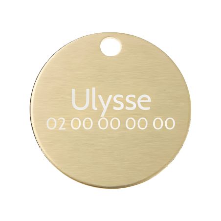Petite médaille ronde Or pour chien et chat à personnaliser sur 1 à 2 lignes - Diamètre 25 mm