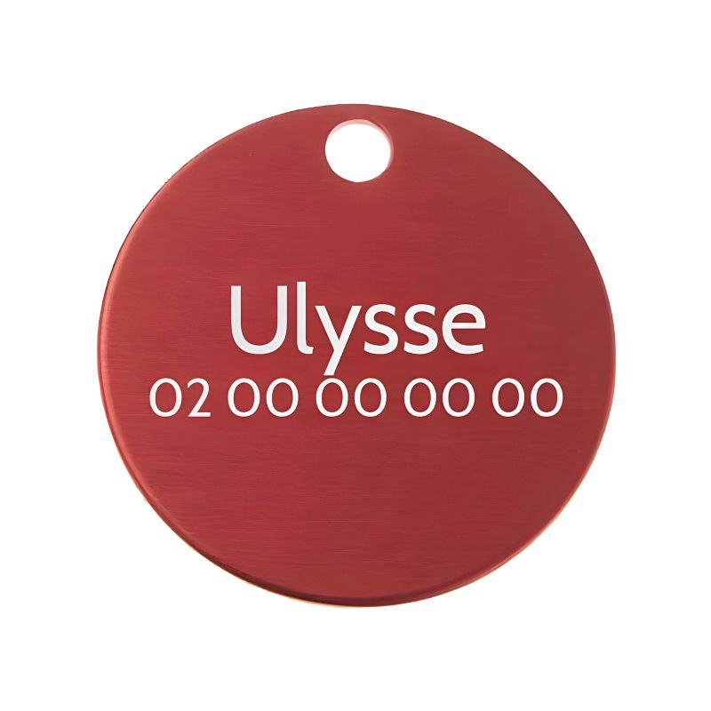 Grande médaille ronde Rouge pour chien et chat avec gravure personnalisée 1 à 2 lignes - Diamètre 32 mm Grande médaille ronde Rouge pour chien et chat avec gravure personnalisée 1 à 2 lignes - Diamètre 32 mm