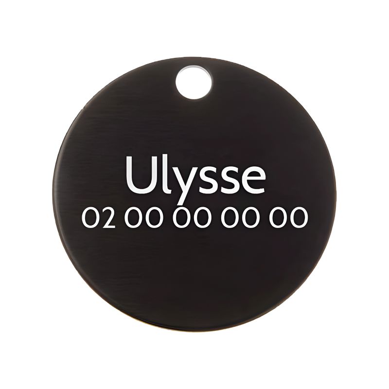 Petite médaille ronde Noire pour chien et chat à personnaliser sur 1 à 2 lignes - Diamètre 25 mm Petite médaille ronde Noire pour chien et chat à personnaliser sur 1 à 2 lignes - Diamètre 25 mm