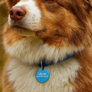 Petite médaille ronde Bleue pour chien et chat à personnaliser sur 1 à 2 lignes - Diamètre 25 mm