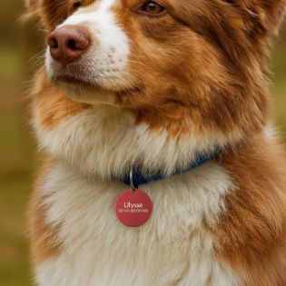 Grande médaille ronde Rouge pour chien et chat avec gravure personnalisée 1 à 2 lignes - Diamètre 32 mm
