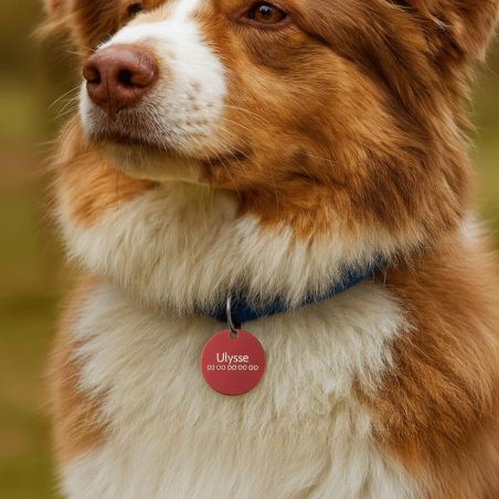 Grande médaille ronde Rouge pour chien et chat avec gravure personnalisée 1 à 2 lignes - Diamètre 32 mm