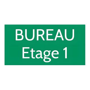 Plaque de porte personnalisée gravée - Signalétique plastique vert clair - Lettres blanches contrastées - Rectangle 100x200 mm a