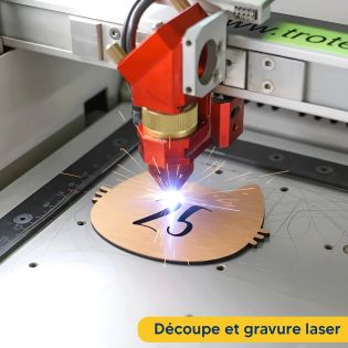 Numéro fantaisie personnalisable pour boite aux lettres couleur cuivre chiffres noirs - Modèle Chat