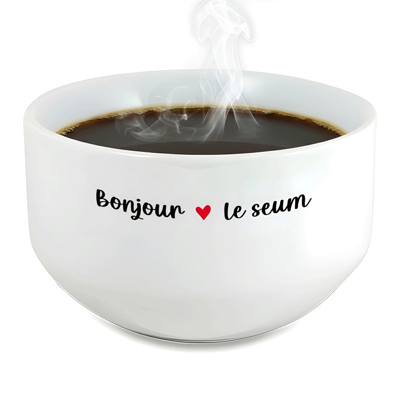 Bol petit déjeuner humoristique - Céramique blanche résistante - Design sarcastique noir et rouge - 600 ml, 13 cm diamètre, micr Bol petit déjeuner humoristique - Céramique blanche résistante - Design sarcastique noir et rouge - 600 ml, 13 cm diamètre, micr