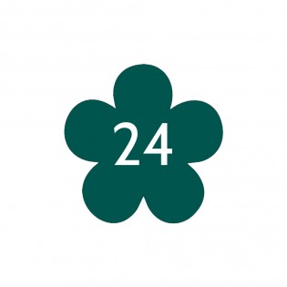 Numéro fantaisie personnalisable pour boite aux lettres couleur vert foncé chiffres blancs - Modèle Fleur