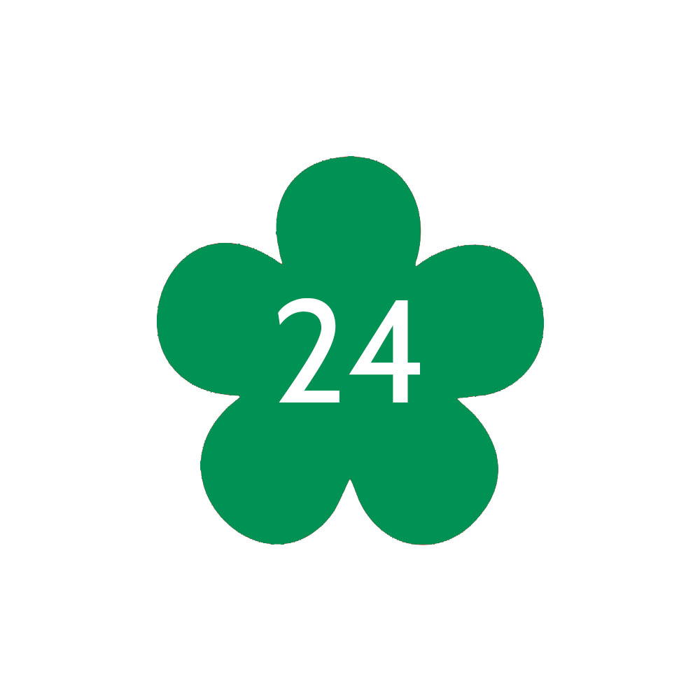 Numéro fantaisie personnalisable pour boite aux lettres couleur vert pomme chiffres blancs - Modèle Fleur
