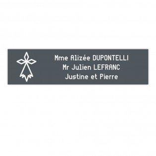 Plaque boite aux lettres Decayeux HERMINE (100x25mm) grise lettres blanches - 3 lignes
