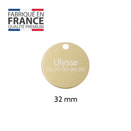 Grande médaille ronde Or pour chien et chat avec gravure personnalisée 1 à 2 lignes - Diamètre 32 mm