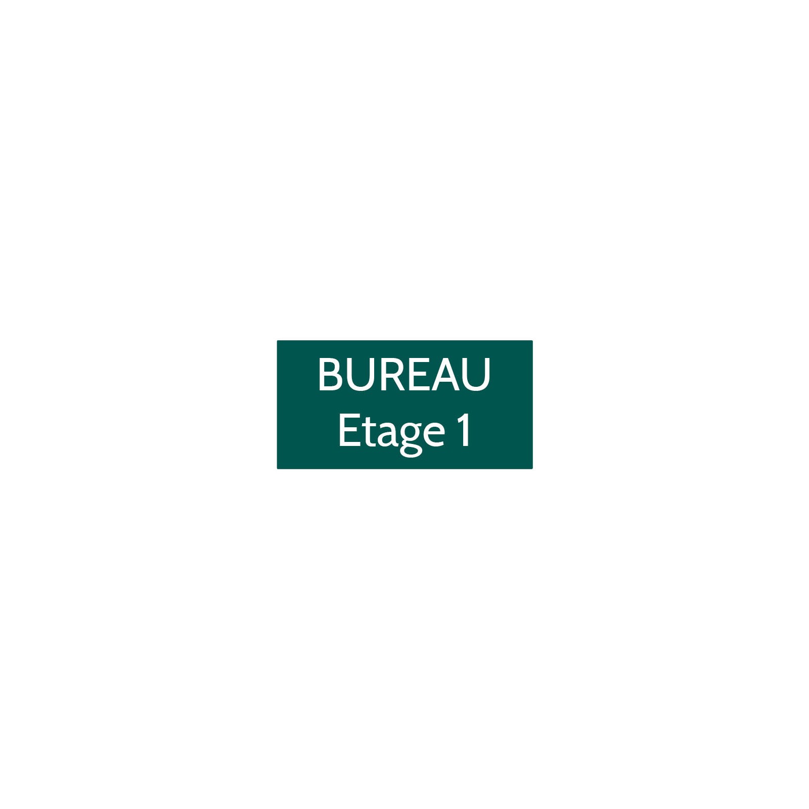 Plaque de porte gravée sur 1 à 2 lignes couleur vert foncé lettres blanches - Format rectangle 75 x 150 mm