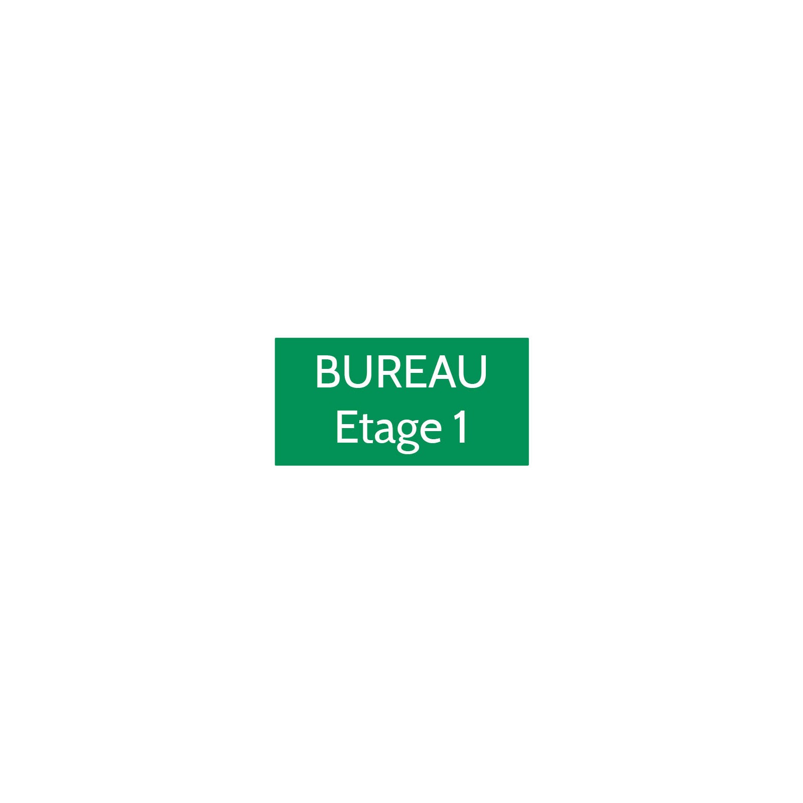 Plaque de porte gravée sur 1 à 2 lignes couleur vert clair lettres blanches - Format rectangle 75 x 150 mm