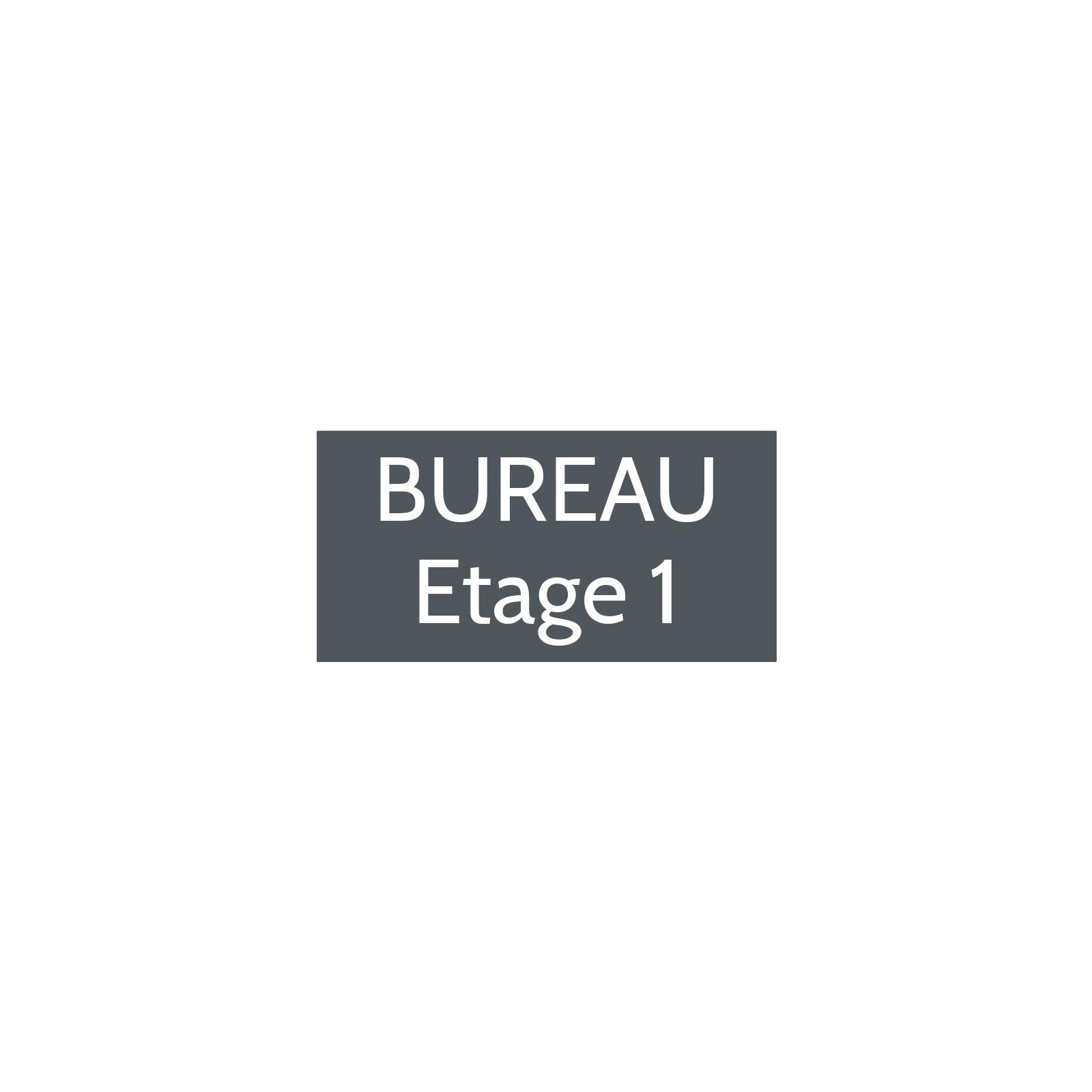 Plaque de porte gravée sur 1 à 2 lignes couleur grise lettres blanches - Format rectangle 100 x 200 mm