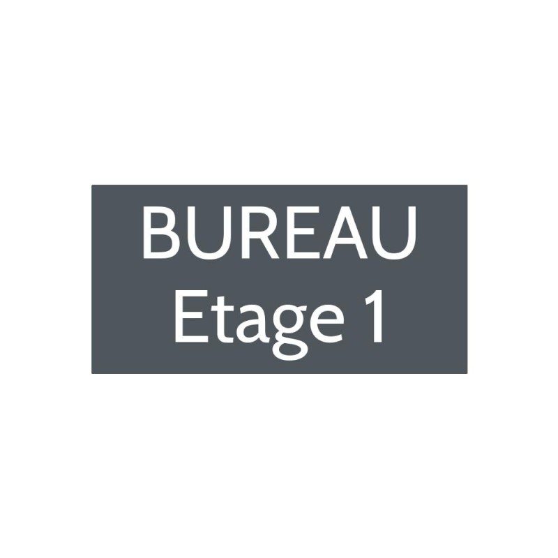 Plaque de porte gravée sur 1 à 2 lignes couleur grise lettres blanches - Format rectangle 100 x 200 mm Plaque de porte gravée sur 1 à 2 lignes couleur grise lettres blanches - Format rectangle 100 x 200 mm