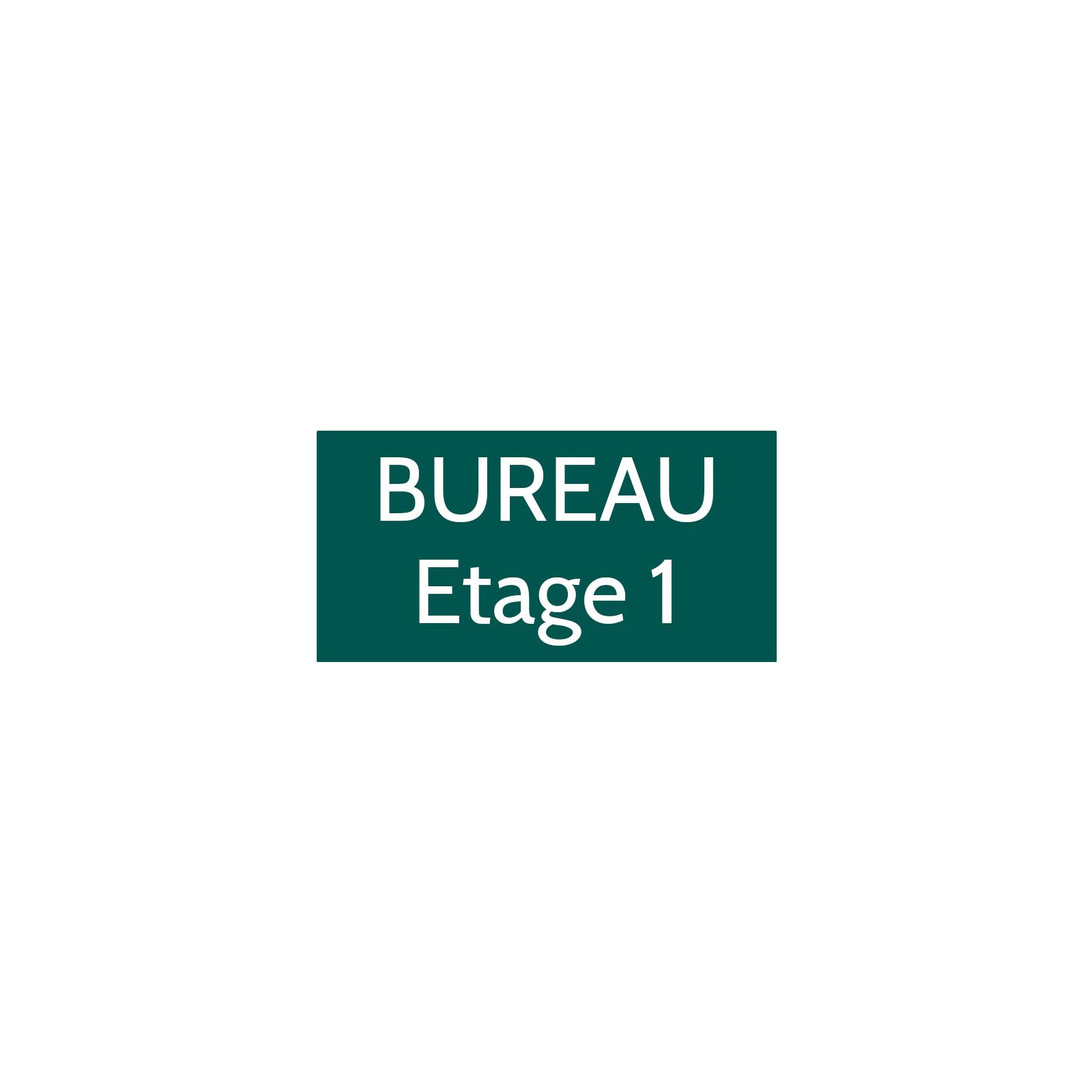 Plaque de porte gravée sur 1 à 2 lignes couleur vert foncé lettres blanches - Format rectangle 100 x 200 mm