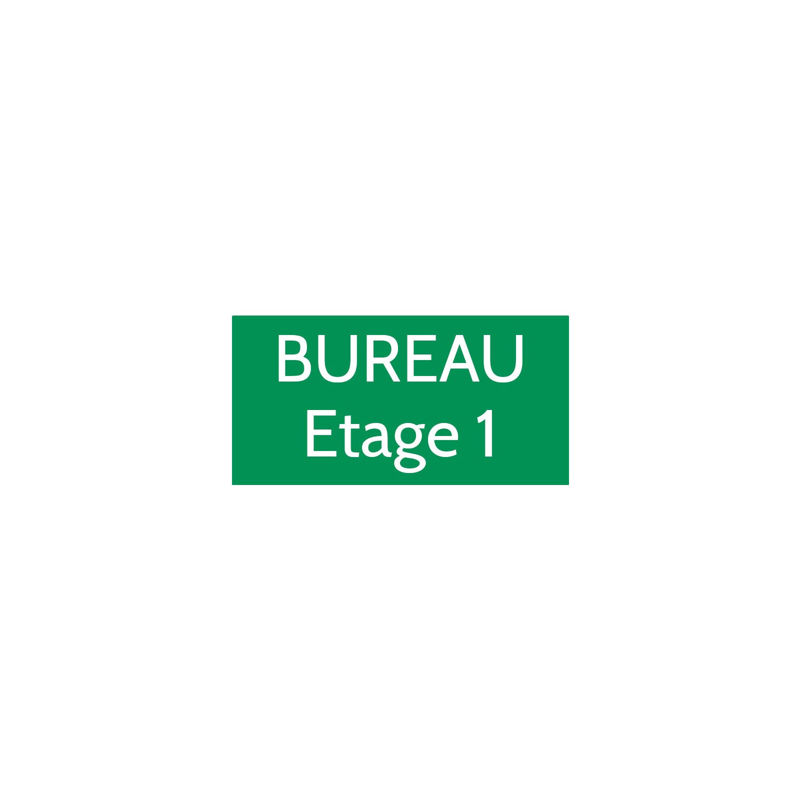 Plaque de porte gravée sur 1 à 2 lignes couleur vert clair lettres blanches - Format rectangle 100 x 200 mm