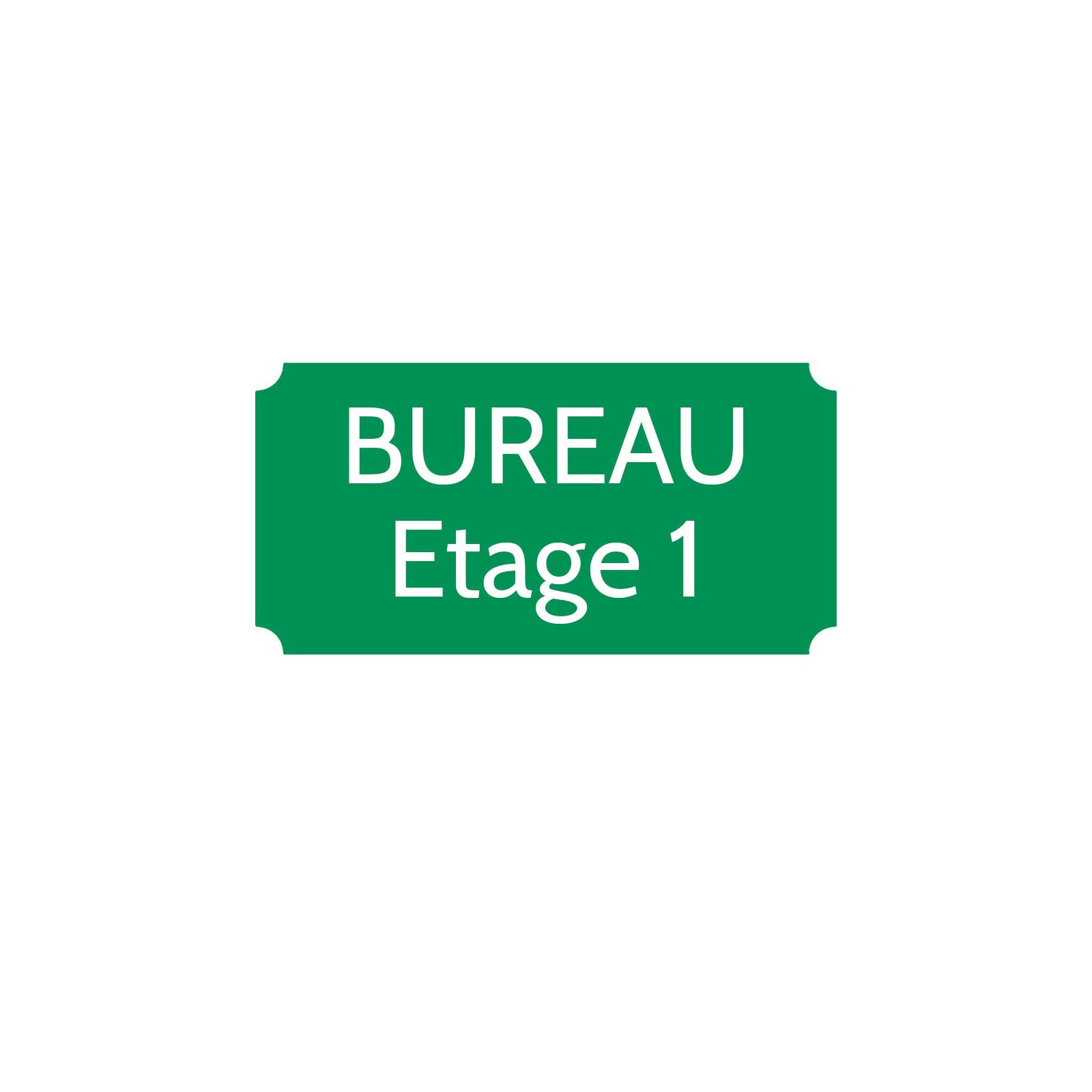 Plaque de porte gravée sur 1 à 2 lignes couleur vert clair lettres blanches - Rectangle classique 125 x 250 mm