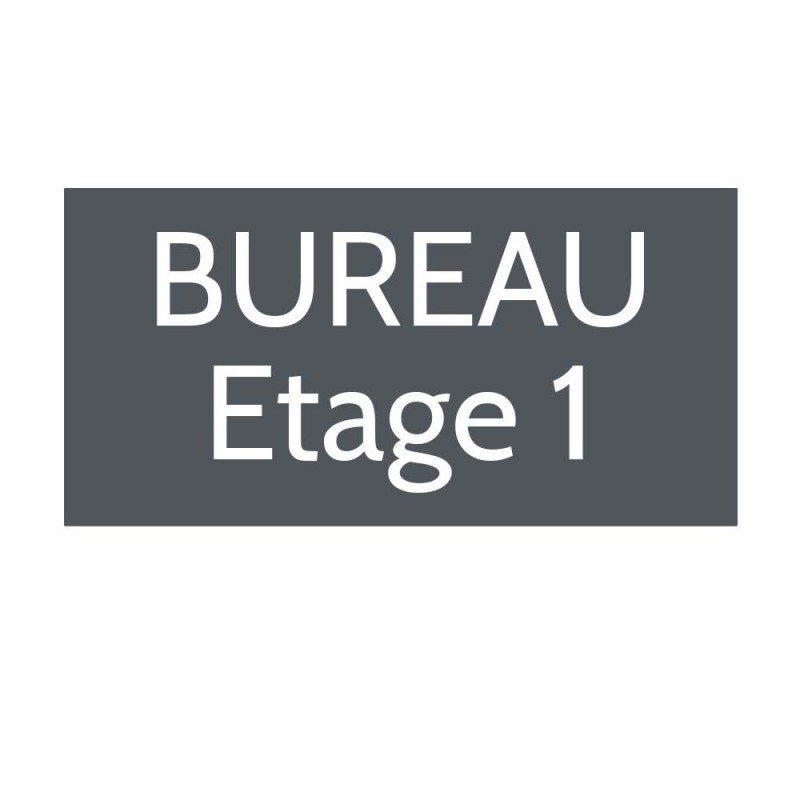 Plaque de porte gravée sur 1 à 2 lignes couleur grise lettres blanches - Format rectangle 125 x 250 mm Plaque de porte gravée sur 1 à 2 lignes couleur grise lettres blanches - Format rectangle 125 x 250 mm