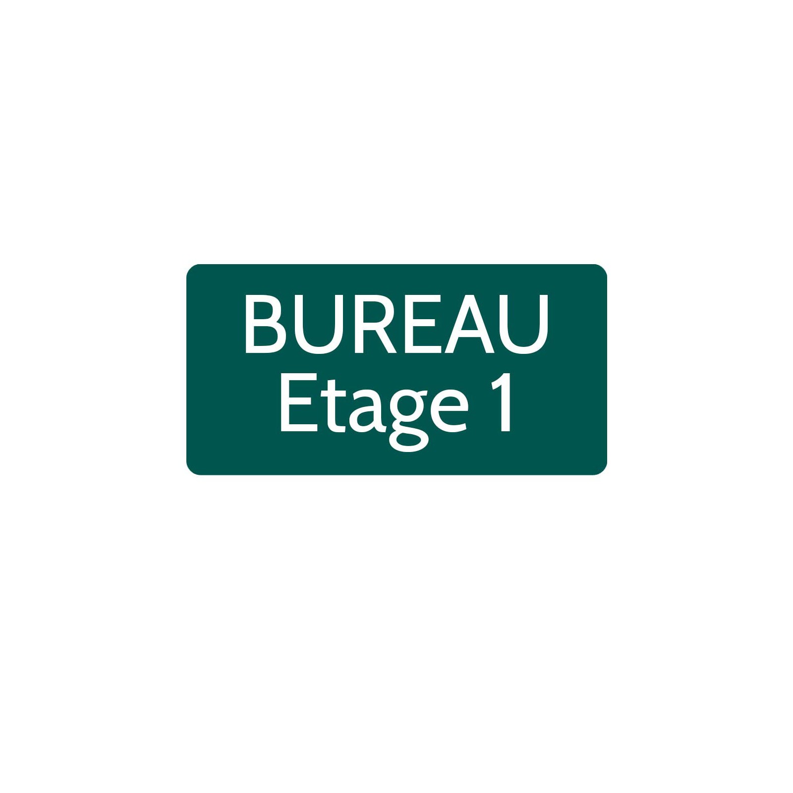 Plaque de porte gravée sur 1 à 2 lignes vert foncé lettres blanches - Rectangle angles arrondis 125 x 250 mm