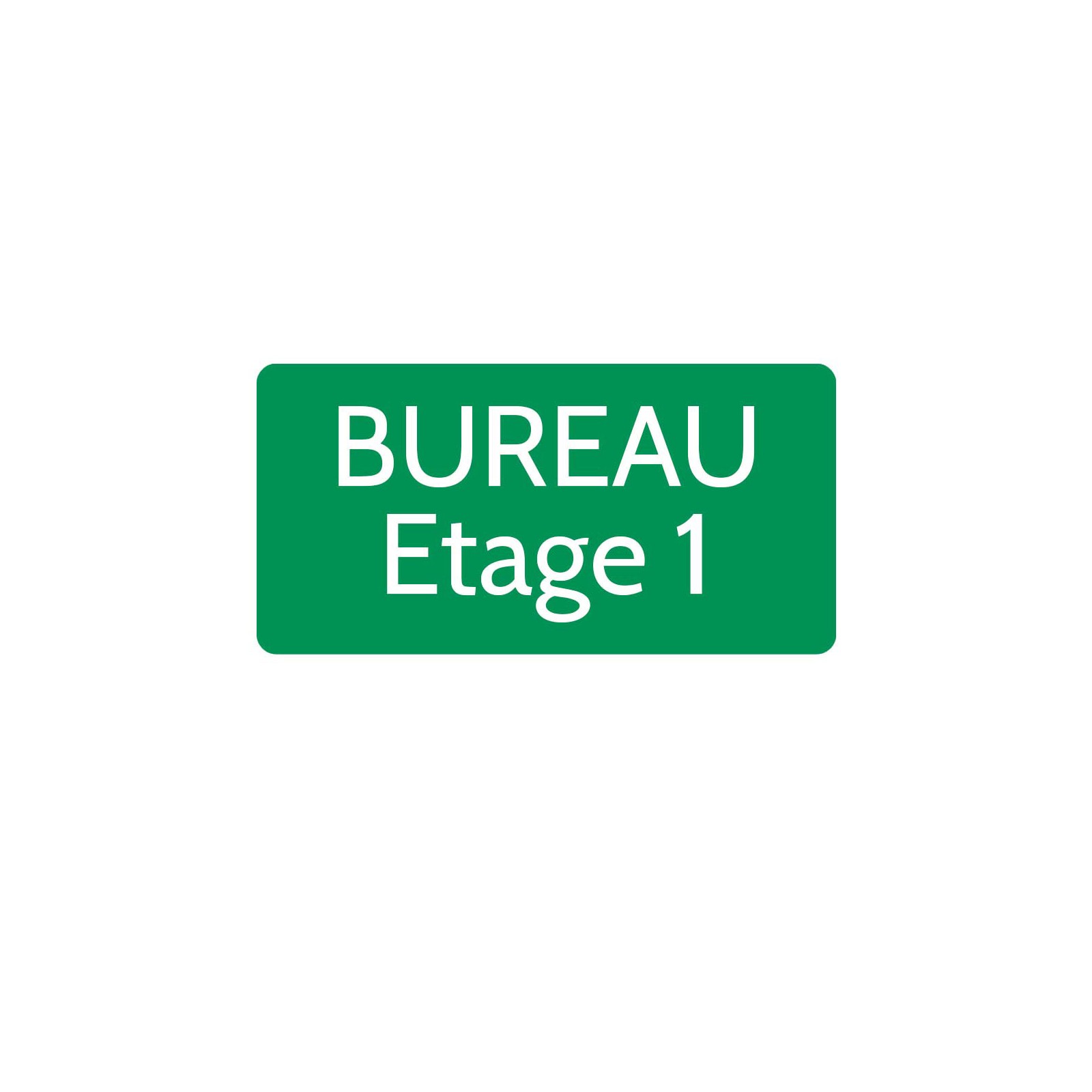 Plaque de porte gravée sur 1 à 2 lignes vert clair lettres blanches - Rectangle angles arrondis 125 x 250 mm