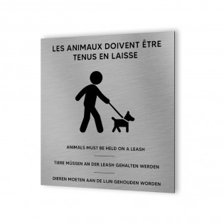 Pictogramme panneau signalétique format 20 cm x 20 cm en Dibond Aluminium brossé - Modèle Chien en laisse multilingue